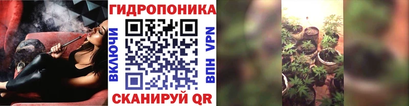 Виды наркоты Алзамай Каннабис Меф А ПВП Гашиш Кокаин