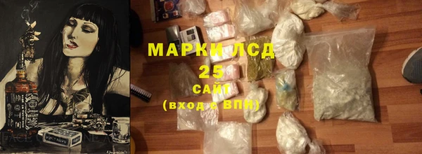 ГАЛЛЮЦИНОГЕННЫЕ ГРИБЫ Алексин