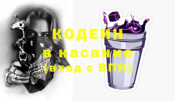 хмурый Алзамай