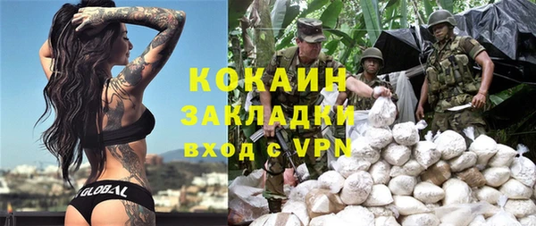 гидра Михайловка
