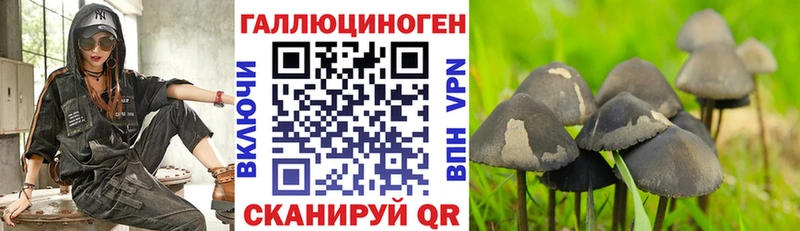 Псилоцибиновые грибы GOLDEN TEACHER  Алзамай 